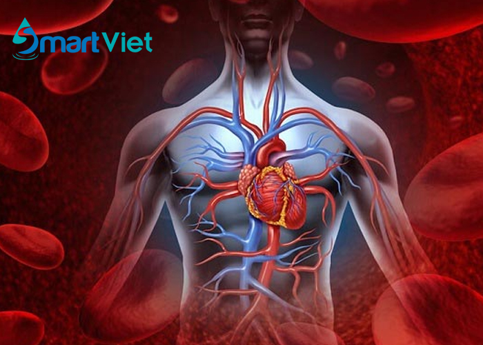 Bật mí 5 tác dụng của nước kiềm đối với bệnh tim mạch!