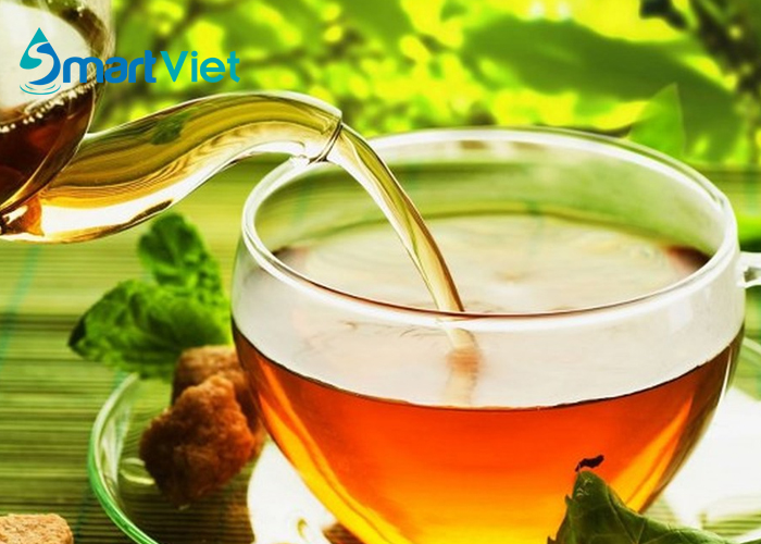 Chia sẻ tác dụng của trà xanh đối với sức khỏe