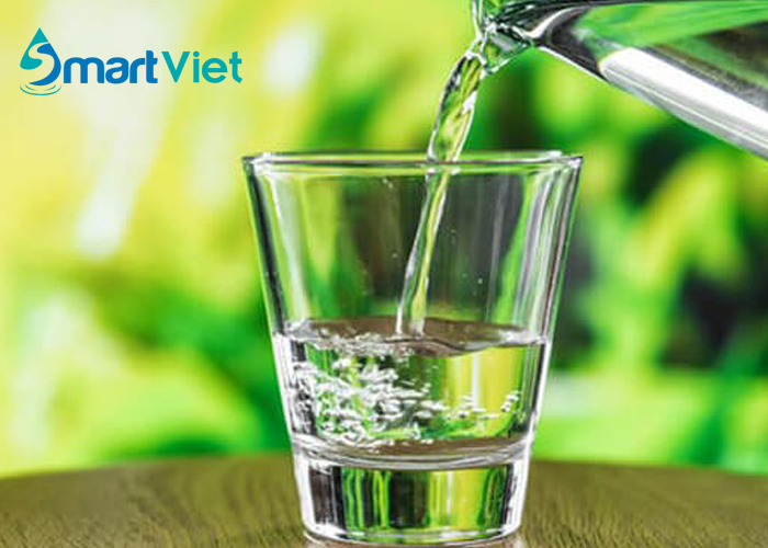 Thông tin về nước uống mát gan bạn nên biết