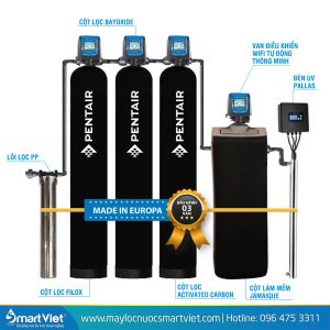 Hệ thống lọc nước tổng đầu nguồn Pentair Plus