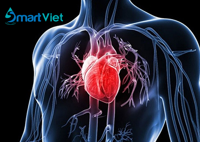 Bật mí 5 tác dụng của nước kiềm đối với bệnh tim mạch!