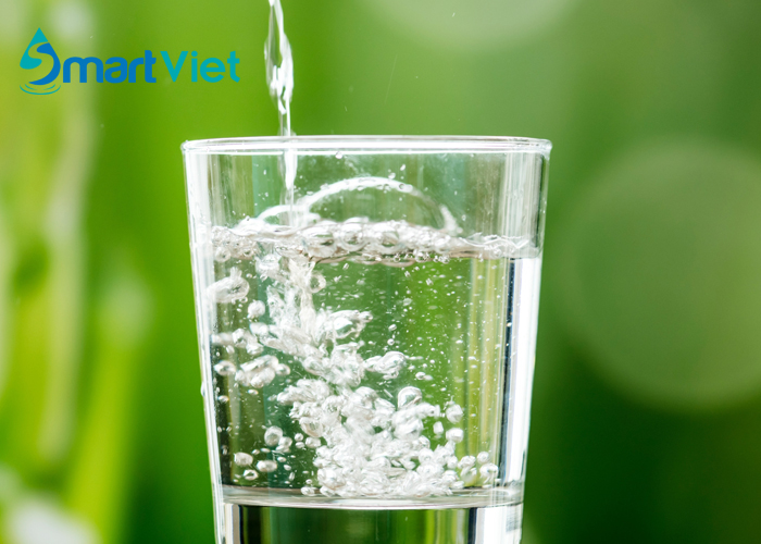 Tư vấn sức khỏe: Trào ngược dạ dày nên uống nước gì?