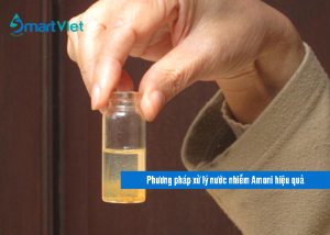 Phương pháp xử lý nước nhiễm Amoni hiệu quả